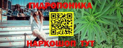гидра Донецк