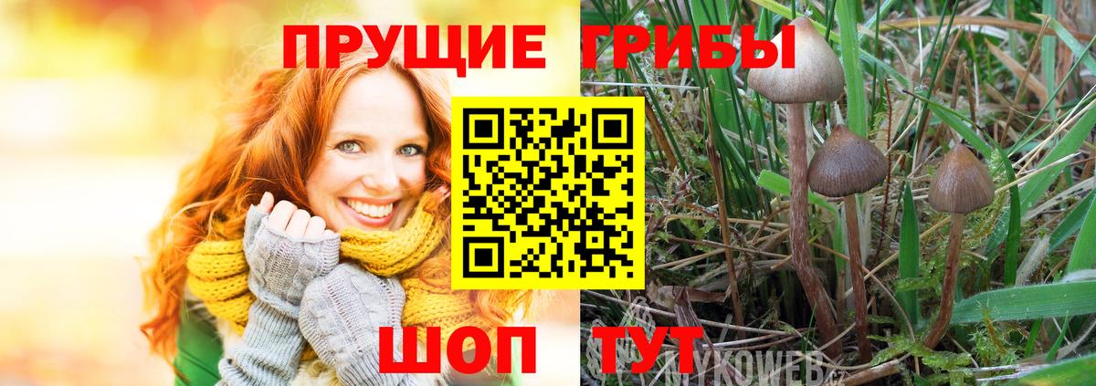 Мыски  Галлюциногенные грибы мухоморы  цены наркотик  Вход с VPN 
